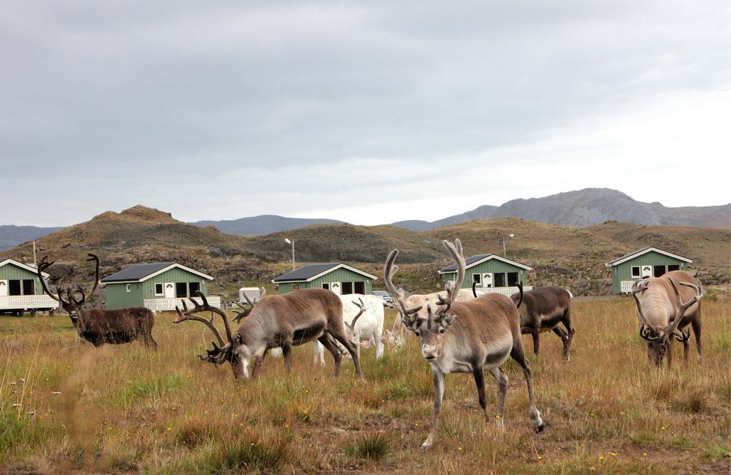 מלון Nordkapp Camping חדר תמונה